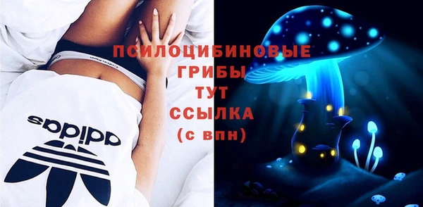 шишки Приозерск