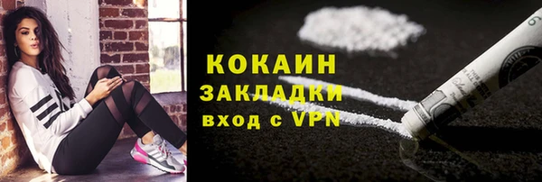 индика Абаза