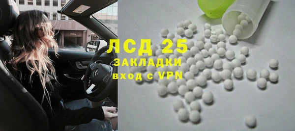 индика Абаза
