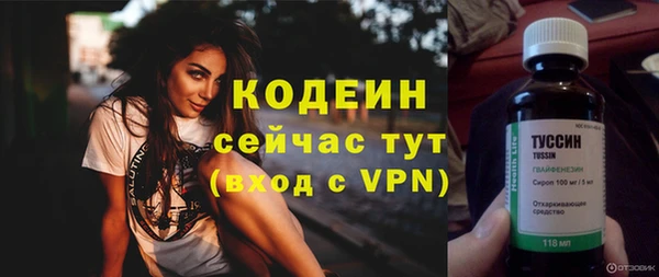 шишки Приозерск