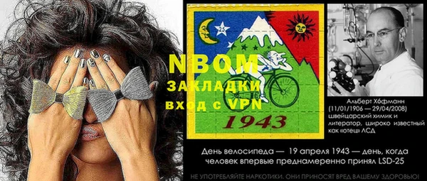 индика Абаза