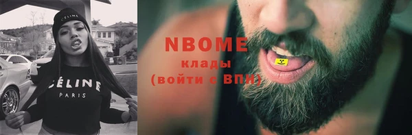 шишки Приозерск