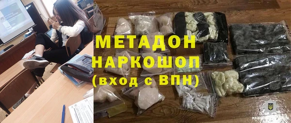 индика Абаза