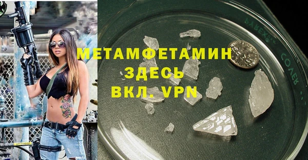 индика Абаза