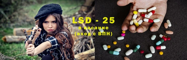 индика Абаза